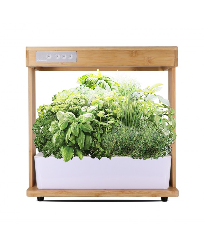 Shenpu Plant Germination Kits 8 Plant Pots For Home Kitchen Gardening